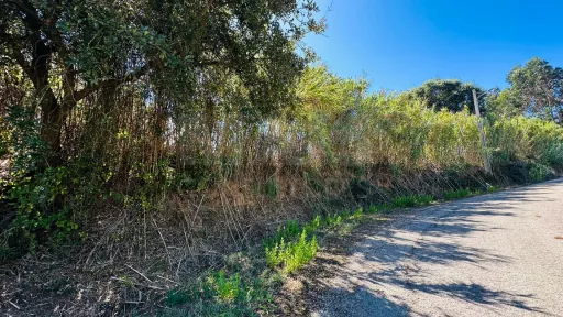 6,042 m² Lot | Building Potential | Santa Bárbara, Lourinhã