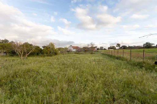 Moradia Térrea V3 com terreno urbano de 3780m2 no Alentejo