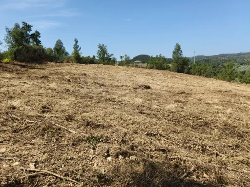 Terreno com 3048m2 para construir em Côja