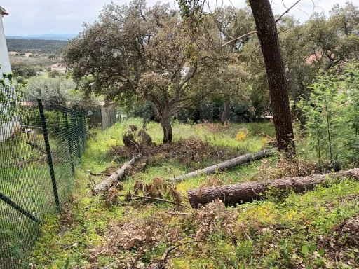 Terreno Misto, Salgueiro do Campo, Castelo Branco