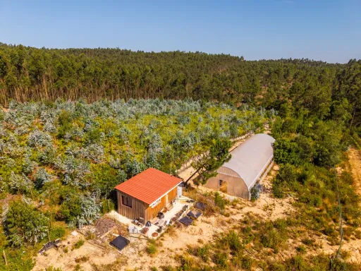 Terreno Agrícola na Fanadia | 16.100 m² de Potencial e Infraestruturas Preparadas