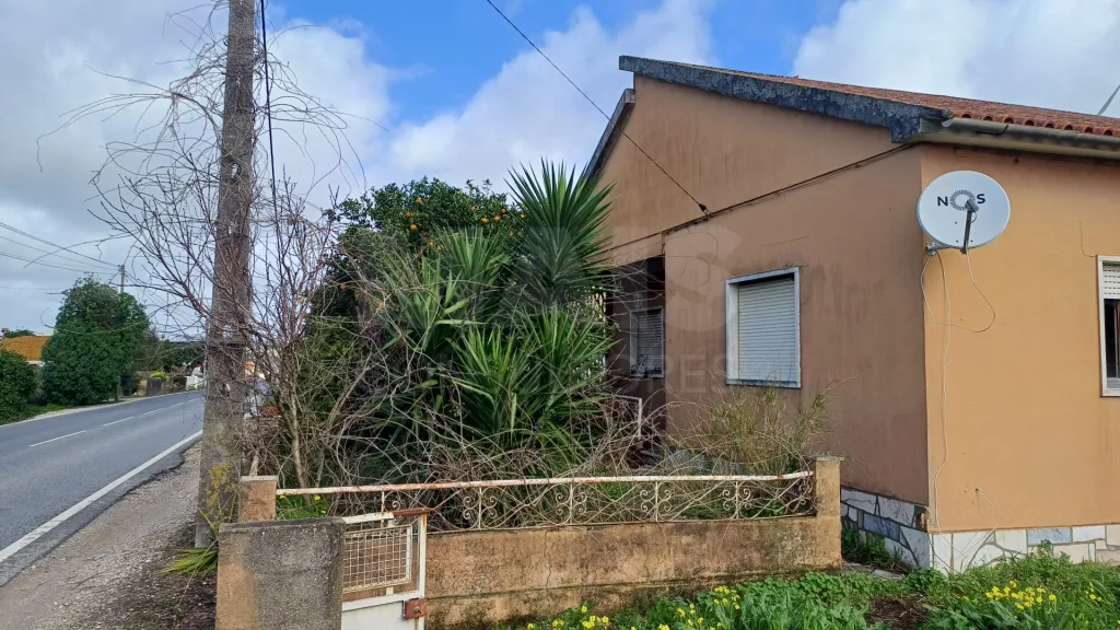 Moradia T3 em Sapataria, com terreno urbano de 4000m2