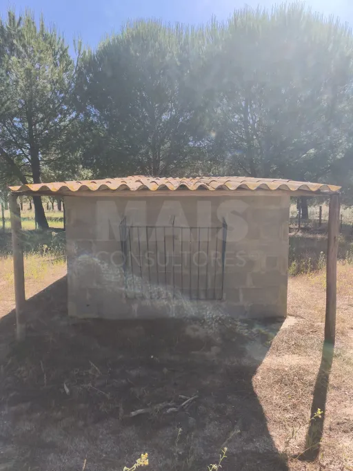 Propriedade com Piscina e Instalações Equestres – Um Refúgio Tranquilo com Potencial de Expansão
