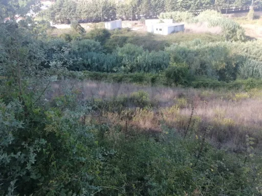 Terreno rústico Sobral de Monte Agraço