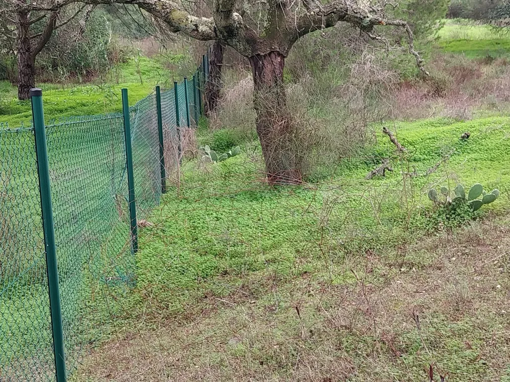 Lote de terreno em Vale Verde Almancil