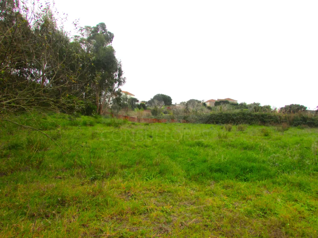 Terreno Misto - 1ha - Torres Vedras - Ramalhal