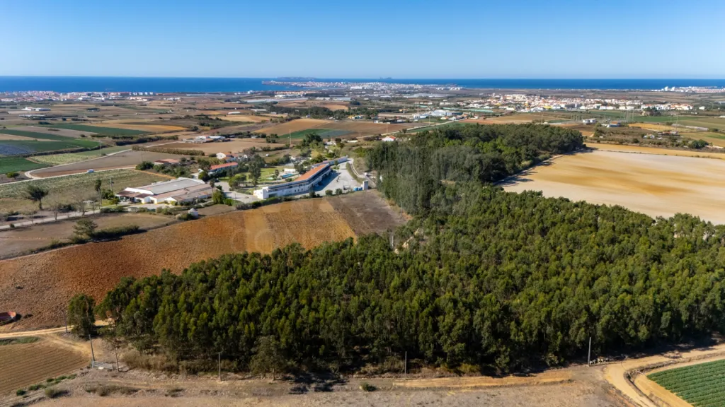 Parcela de terreno rústico de 2.350m2 em Atouguia da Baleia