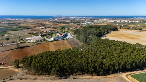 Parcela de terreno rústico de 2.350m2 em Atouguia da Baleia