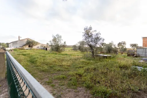 Moradia Térrea V3 com terreno urbano de 3780m2 no Alentejo