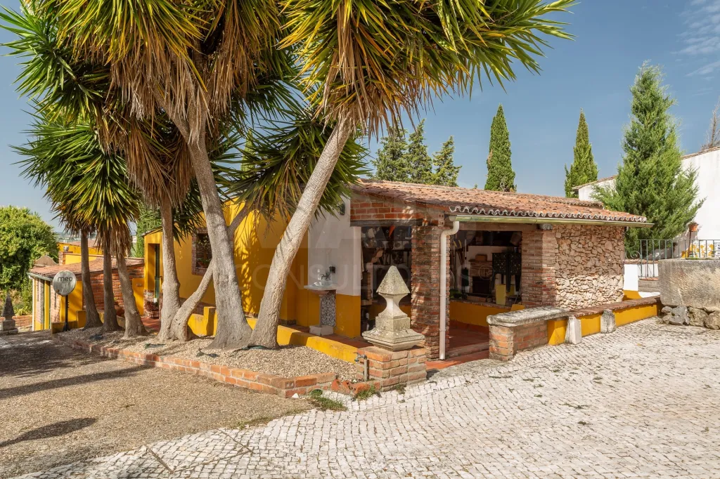 Quinta com duas habitações independentes, piscina, logradouro, armazéns, arvores de fruto