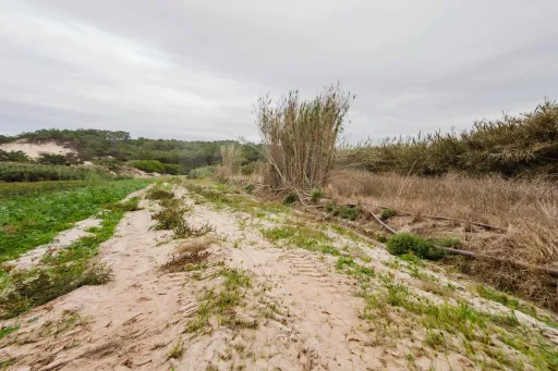 Terreno Rústico com 3.800 m² em Ferrel