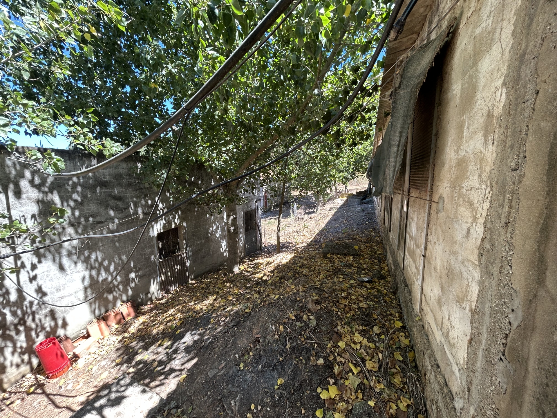 Armazéns +Terreno no Landal, Caldas da Rainha