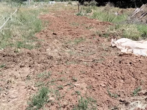 Lote de terreno rústico plano