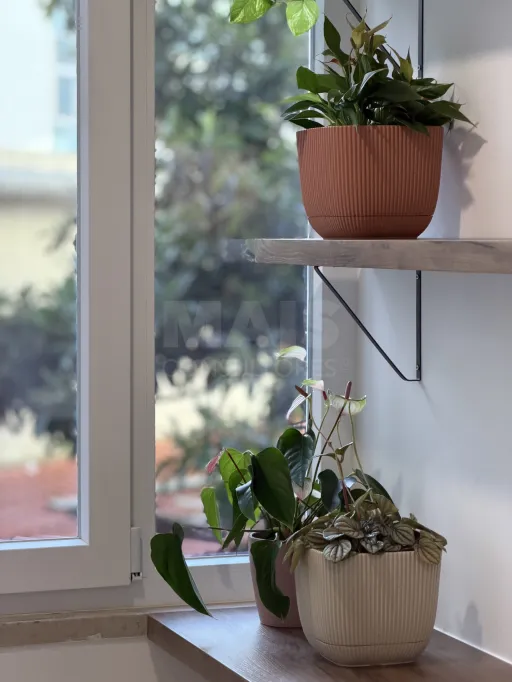 Oportunidade Única — T2 Renovado na Praça São João Batista