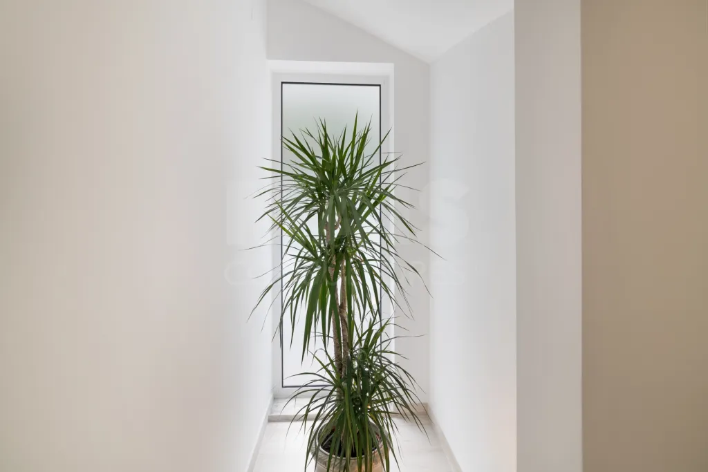 Moradia Isolada T4 Renovada — Abuxarda / Alvide, Cascais