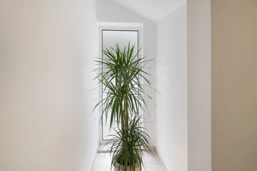 Moradia Isolada T4 Renovada — Abuxarda / Alvide, Cascais