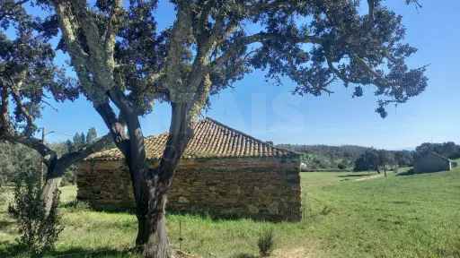 Herdade de 30 hectares em Cercal do Alentejo, Santiago do Cacém, Setúbal