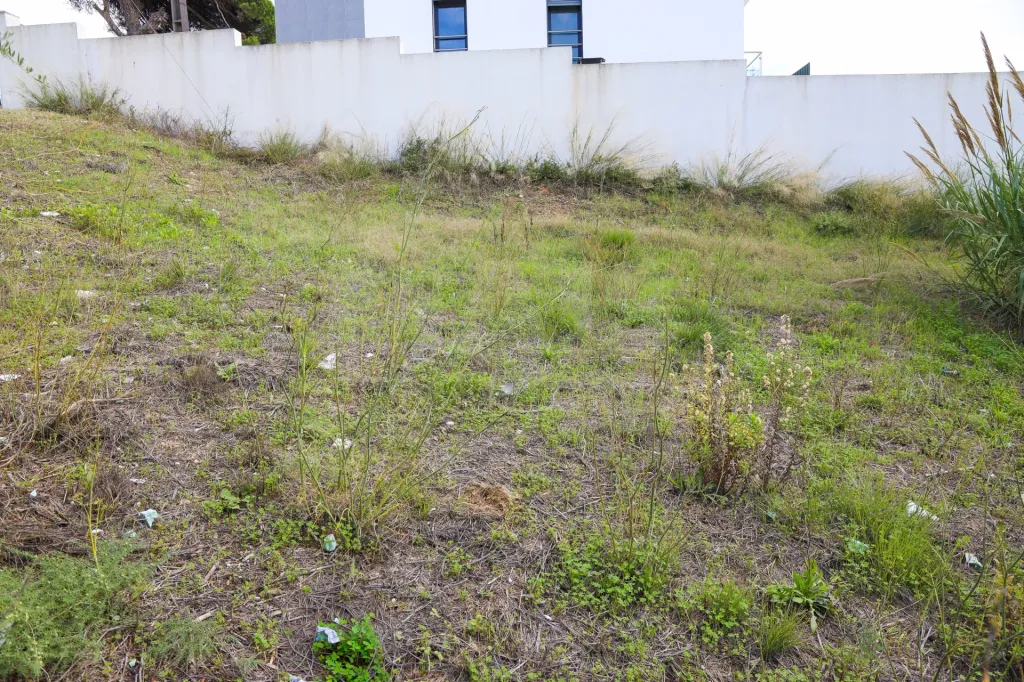 Lote Urbano na Apelação para Moradia.