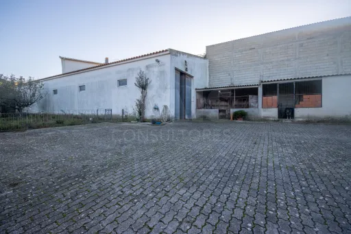 Moradia Térrea T7 em Atouguia da Baleia- Peniche