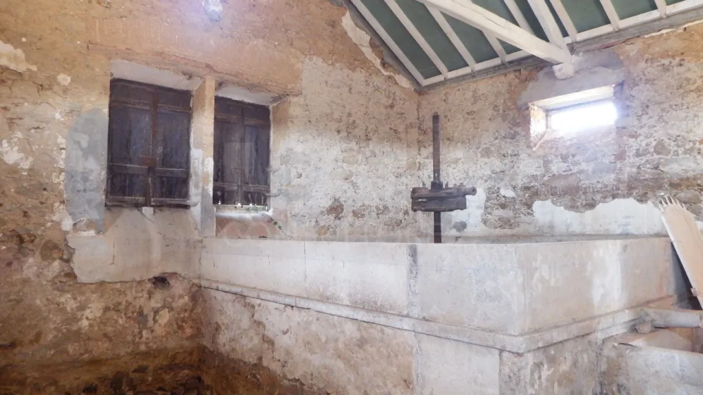 Quinta com Adega | 37.500 m² | Atouguia da Baleia, Peniche