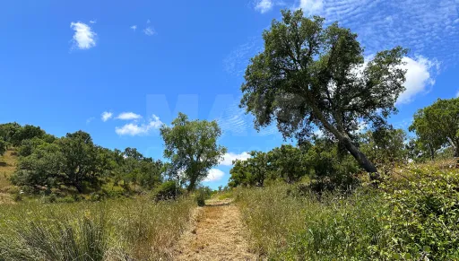 Herdade com 11,6 hectares em São Bartolomeu da Serra, Santiago do Cacém