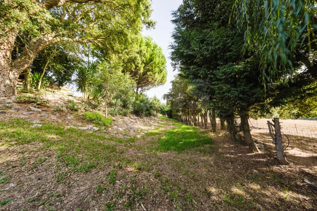 Propriedade única, a apenas 2 km de Alcobaça, com mais de 30.000 m² de terreno