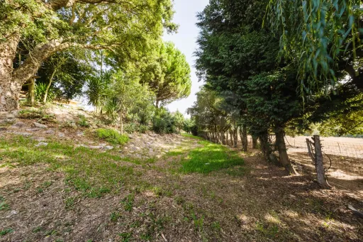 Propriedade única, a apenas 2 km de Alcobaça, com mais de 30.000 m² de terreno