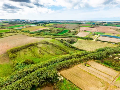 Rustic Land - Pombeira, Ferrel (Peniche)