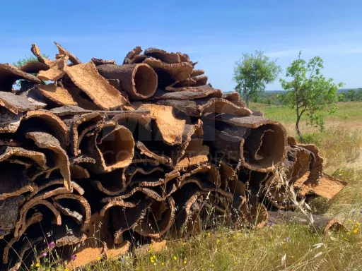 Herdade  com 40,85 hectares em São Bartolomeu da Serra, Santiago do Cacém