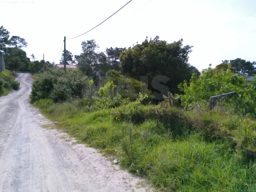 Terreno Rústico (Avos), Quinta da Oliva - Charneca da Caparica