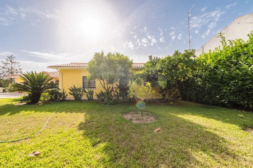 Propriedade única, a apenas 2 km de Alcobaça, com mais de 30.000 m² de terreno