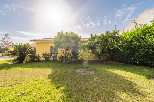 Propriedade única, a apenas 2 km de Alcobaça, com mais de 30.000 m² de terreno