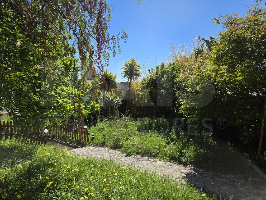Prédio no Centro de Torres Novas com Jardim e Forte Potencial para constituição de Propriedade Horizontal com elevada rentabilidade de investimento