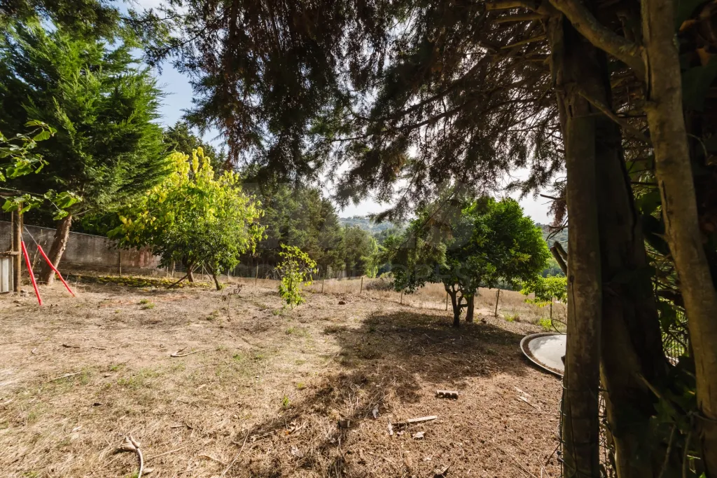 Propriedade única, a apenas 2 km de Alcobaça, com mais de 30.000 m² de terreno