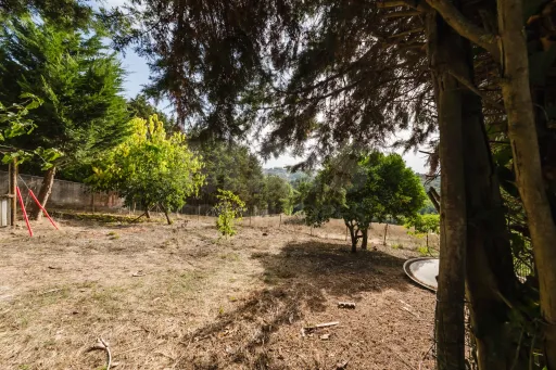 Propriedade única, a apenas 2 km de Alcobaça, com mais de 30.000 m² de terreno