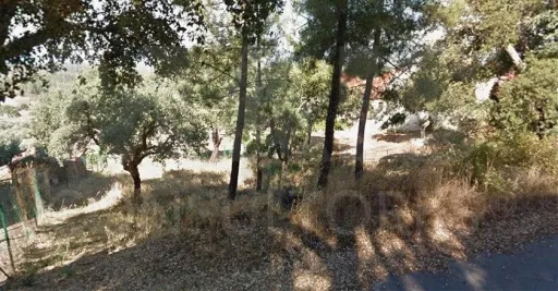Terreno Misto, Salgueiro do Campo, Castelo Branco