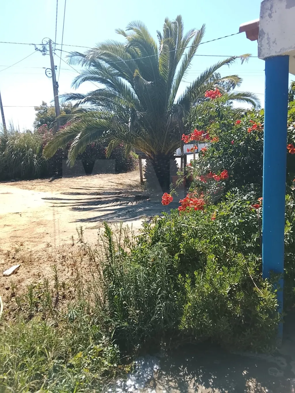 Moradia T2 com Quintal, Terraço e Churrasqueira em Vila Nova de Milfontes