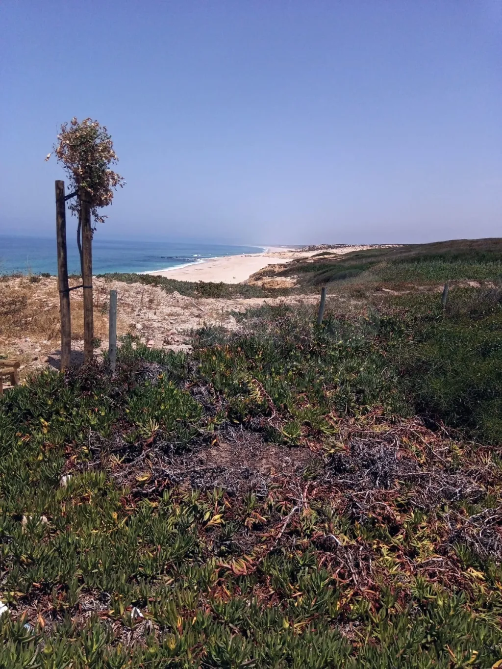 Terreno de 0.65 hectares na Praia Norte de Sines