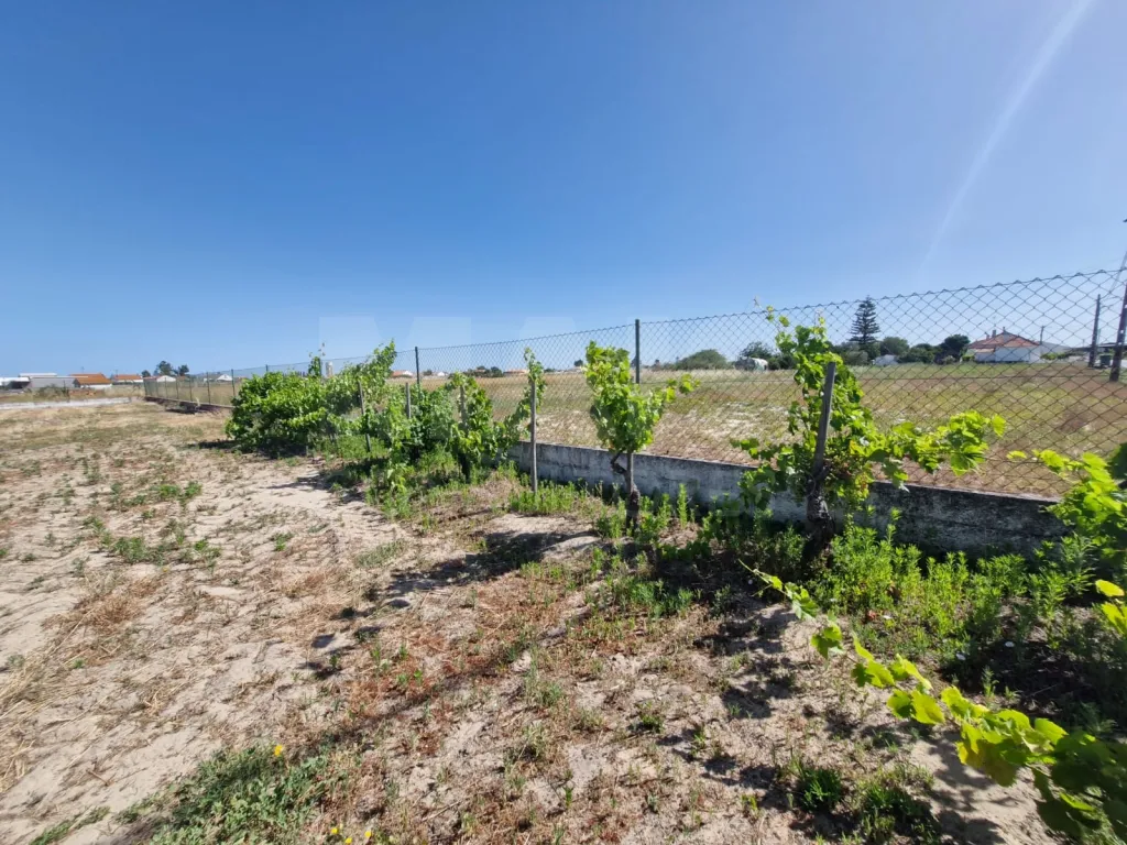 Quintinha com Moradia T2, Anexo/Armazém e Terreno de 1.247 m² em Foros de Salvaterra
