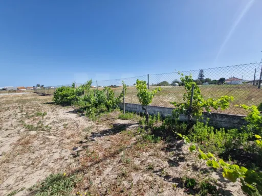 Quintinha com Moradia T2, Anexo/Armazém e Terreno de 1.247 m² em Foros de Salvaterra