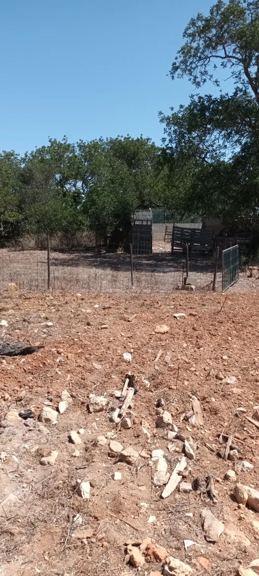 Terreno urbano com ruina / rustico