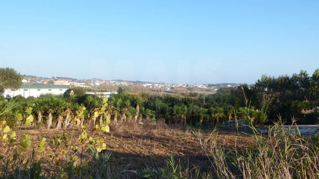 Terreno Urbano para Construção | Excelente Potencial Construtivo