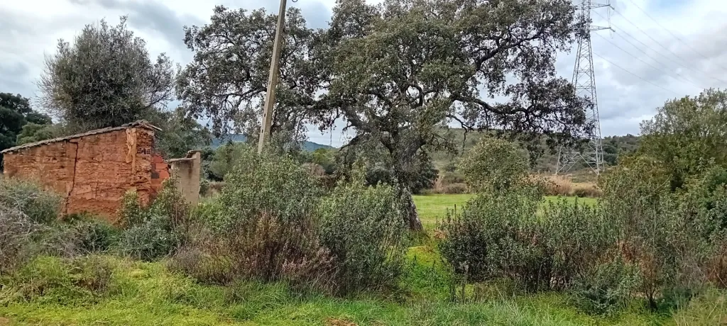 Terreno com Ruina a 7 Km de S.B. de Messines Algarve