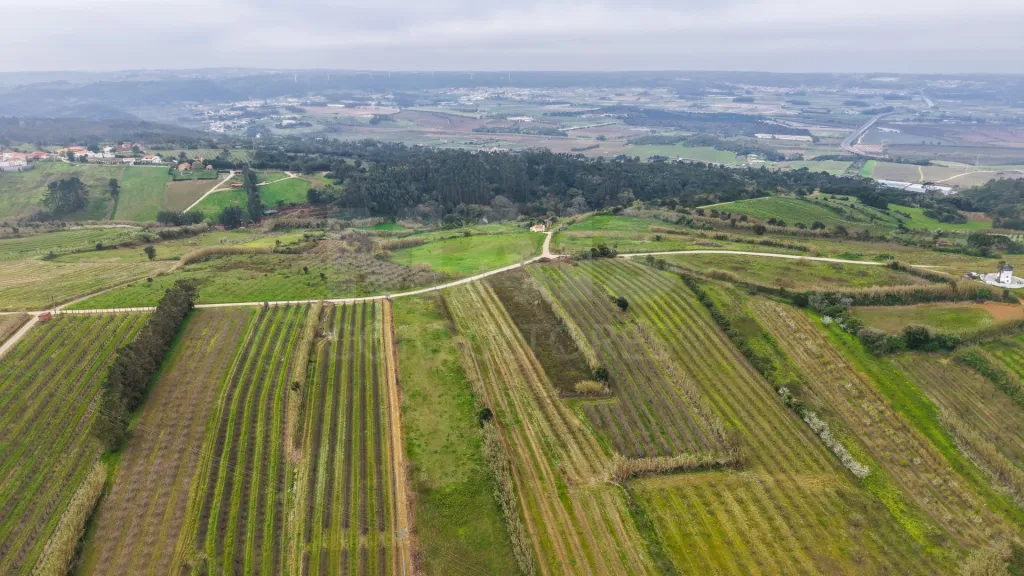 Terreno no centro da Usseira