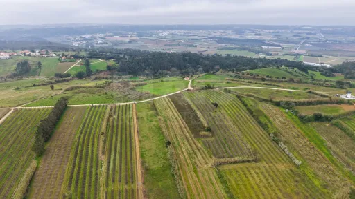 Terreno no centro da Usseira
