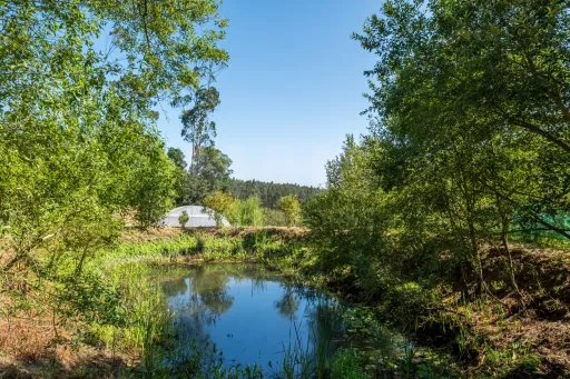 Terreno Agrícola na Fanadia | 16.100 m² de Potencial e Infraestruturas Preparadas