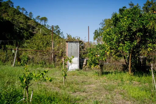 Terreno com 1600m2 rodeado pela natureza