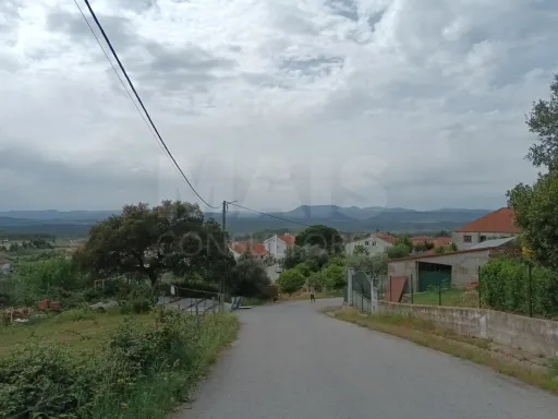 Terreno Misto, Salgueiro do Campo, Castelo Branco