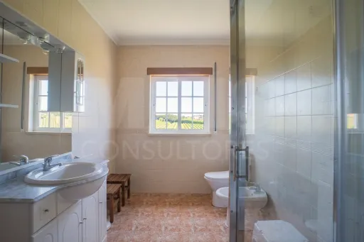 Moradia T2 com Cave Ampla e lote de 900 m²