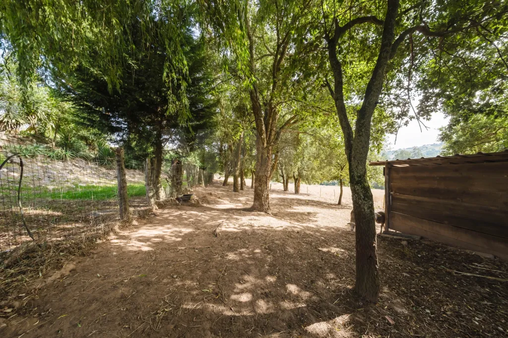Propriedade única, a apenas 2 km de Alcobaça, com mais de 30.000 m² de terreno